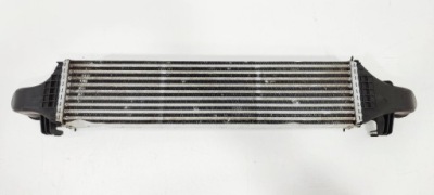 Mercedes-benz b w246 w242 інтеркулер фото №1