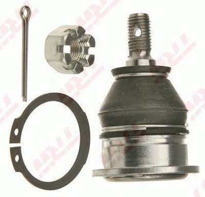 8/5000 PERNA SUSPENSIONES HONDA CIVIC VI  