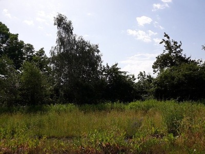 Działka, Zabrze, 7369 m²