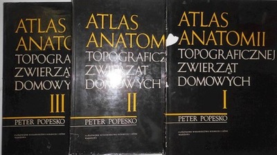 Atlas anatomii t 1-3 - Popesko