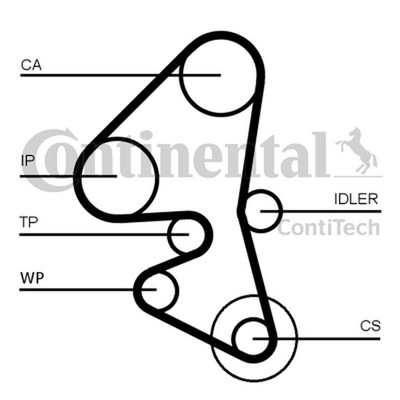 CONTITECH РЕМЕНЬ ГРМ FORD 1,6TDCI/HDI 141Z