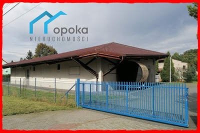 Komercyjne, Cieszyn, 850 m²