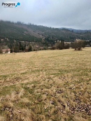 Działka, Złatna, Ujsoły, Żywiecki, 881 m²