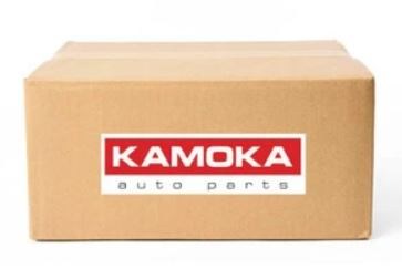 Рычаг nissan kubistar 03-, renault clio ii 98- l фото №1