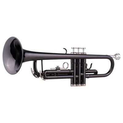 Brass Plated Black Bb Trumpet Set for Beginner
