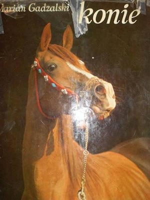 Konie - Gadzalski