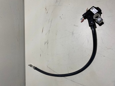 Клема мінусова мінус шланг ibs bmw 9253082 фото №1