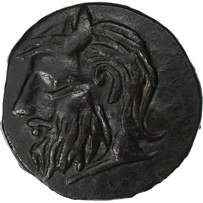 Skythia, Æ, ca. 310-280 BC, Olbia, Brązowy, AU(50-