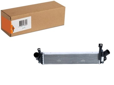 Інтеркулер радіатор повітря впускний renault kangoo kangoo фото №1