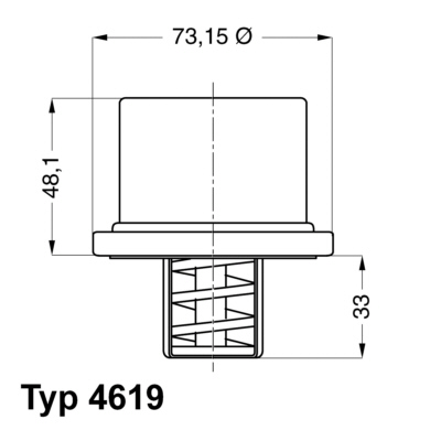 TERMOSTATO LÍQUIDO REFRIGERANTE WAHLER WA4619.75  