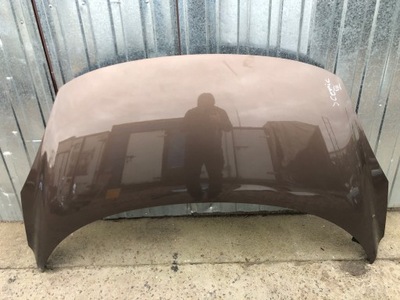 Капот кришка renault scenic iii фото №1