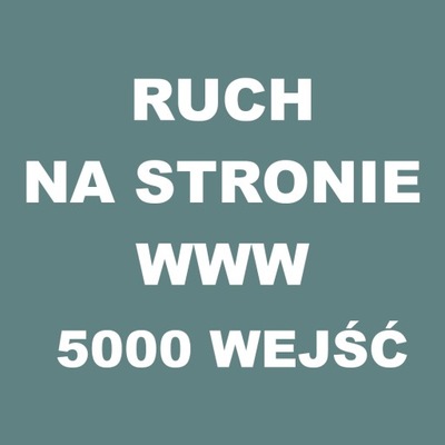 Ruch na stronie internetowej 5000 wejść SEO