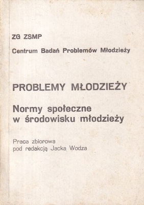 Problemy młodzieży Normy społeczne w środowisku