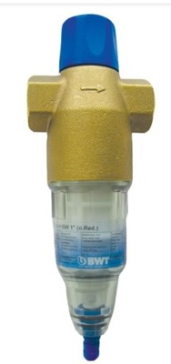 Filtr z manualnym płukaniem wstecznym BWT PROTECTOR BW 1"