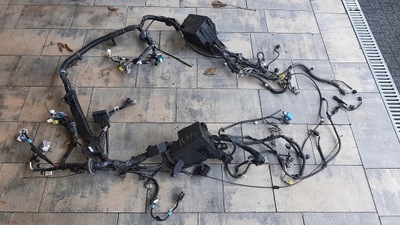 Rav4 iv lift гібрид джгут відсік перед фото №1