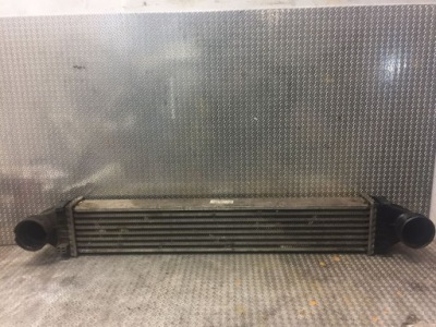 Mercedes-benz a w169 радіатор повітря наддувний / інтеркулер фото №1