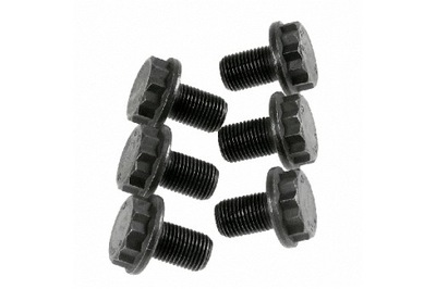 SACHS KOMPLEKTAS SRUB RATAI SMAGRAČIO M10X1MM DL.15.5MM 