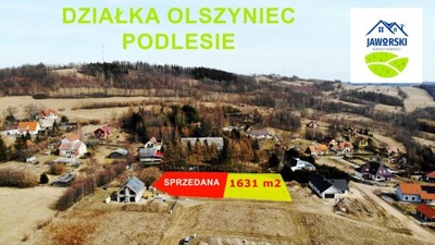 Działka, Olszyniec, Walim (gm.), 1631 m²