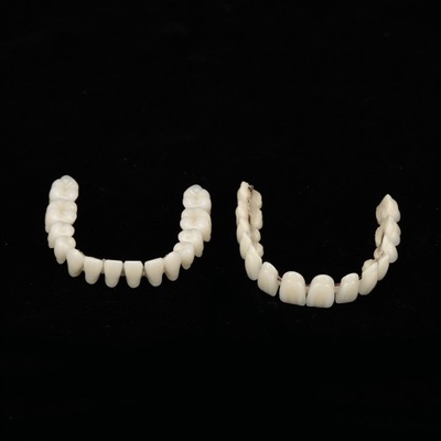 Model zębów Proteza żywiczna