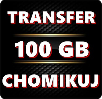 TRANSFER CHOMIKUJ 100 GB / BEZTERMINOWO !