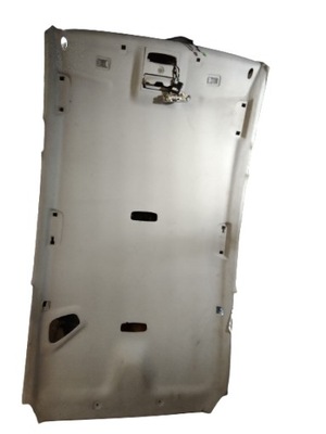 Ford s-max 07r стеля фото №1