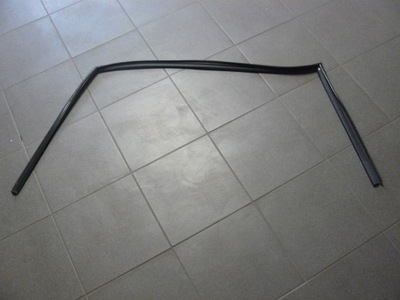 Прокладка скло двері hyundai tucson iii 2018 фото №1