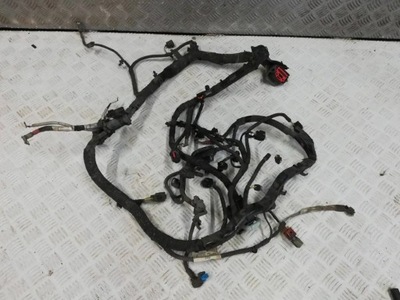 Ford ecosport 1.0 электропроводка жгут двигателя фото №1