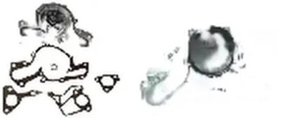 Насос води 538 0585 10 ina фото №1