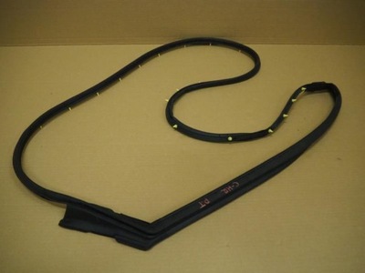 Прокладка двері правих задніх toyota c-hr фото №1