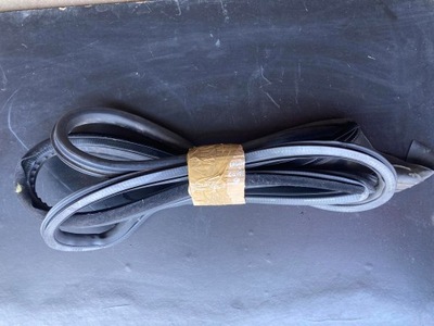 Прокладка двері перед правий laguna iii coupe фото №1