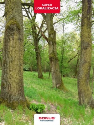 Działka, Józefów, Otwocki, 5000 m²