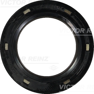 REINZ COMPACTADOR DEL MOTOR 81-35035-00 COMPACTADOR 40X62X8  