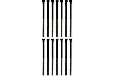 Victor reinz 14-32306-01 набор винт головки цилиндров фото №1