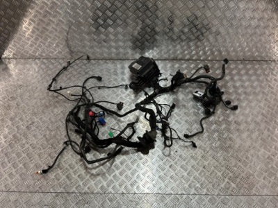 Джгут лонжерон лівий коробка запобіжників opel crossland x 17- 1.2 thp фото №1