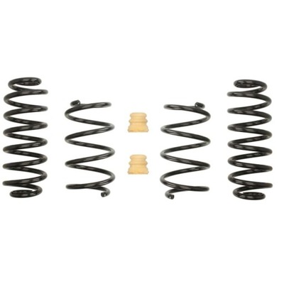 SPRING EIBACH PRO KIT SKODA SUPERB / VW TOURAN  