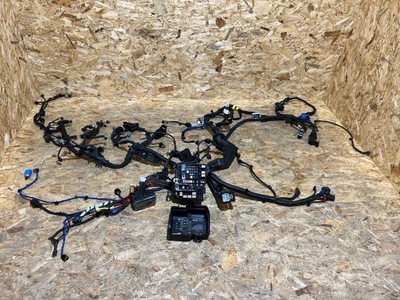 Електропроводка відсік двигуна + коробка запобіжників sportage v 91442-r2791 фото №1