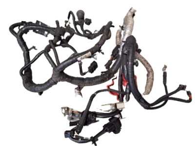 Ford s-max mk2 15r 2.0 ecoboost електропроводка двигуна фото №1