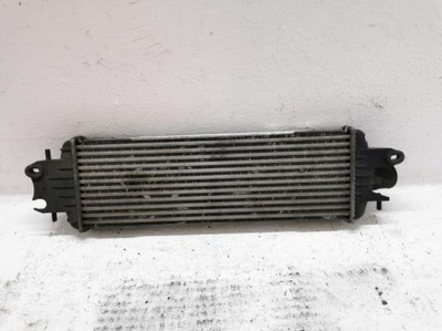 Інтеркулер renault trafic master ii 2.5 dci 06-14 фото №1