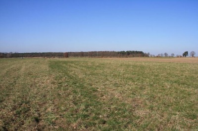 Działka, Rogowo, Stargard (gm.), 3045 m²