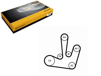 Набор ремни многоручейковых с ролики mitsubishi carisma space star фото №1