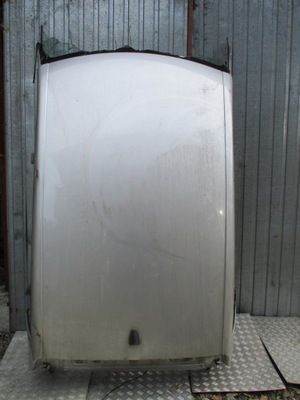 Дах renault scenic 10r фото №1