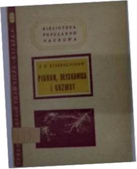 Piorun, błyskawica i grzmot - J.S.Stiekolnikow