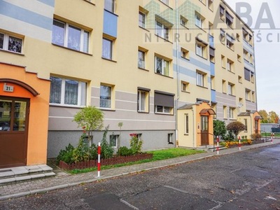 Mieszkanie, Września (gm.), 65 m²