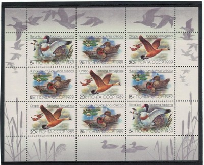 FiE18-ZSRR-Kaczki,ark,9zn,1989