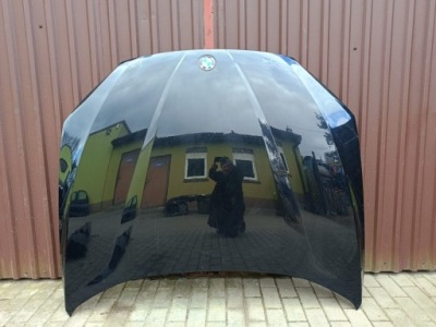 Bmw x1 e84 09-15r. капот фото №1