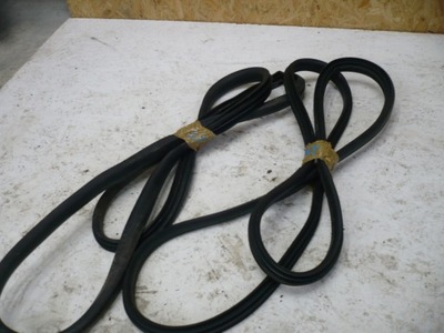 Прокладка задня ліва права двері renault zoe фото №1