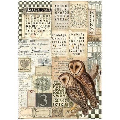 Stamperia Papier ryżowy A4 Alchemy Owls (DFSA4664)