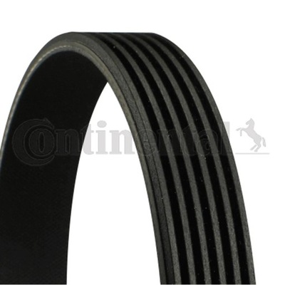 BELT WEDGE MULTI-RIBBED CONTINENTAL CTAM 6PK923 - milautoparts-fr.ukrlive.com