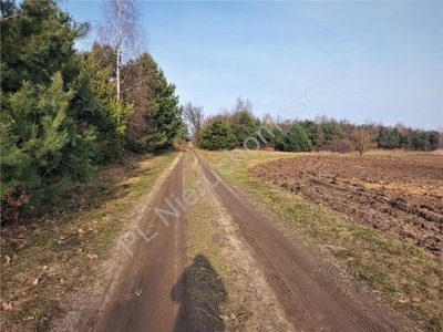 Działka, Kruki, Mrozy (gm.), 2500 m²