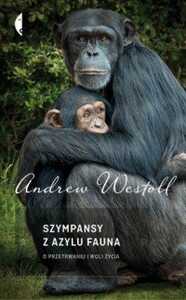 Szympansy z azylu Fauna O przetrwaniu i woli ży...